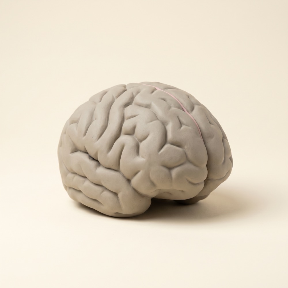 A dim clay brain, doubt dominant